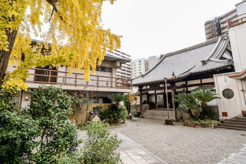 小倉北区のお寺善龍寺の境内